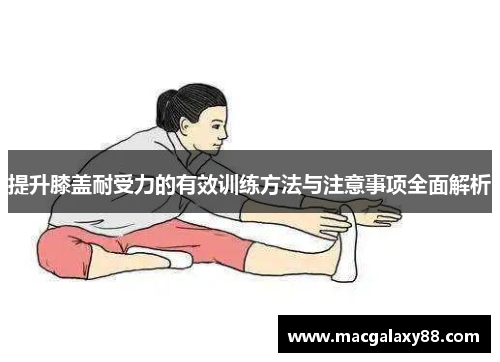 提升膝盖耐受力的有效训练方法与注意事项全面解析