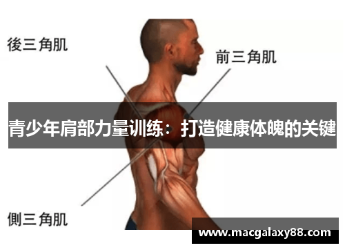 青少年肩部力量训练：打造健康体魄的关键