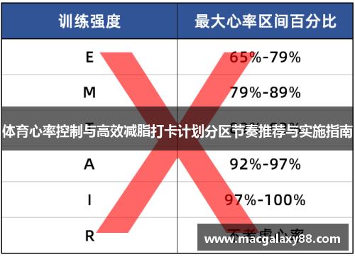 体育心率控制与高效减脂打卡计划分区节奏推荐与实施指南