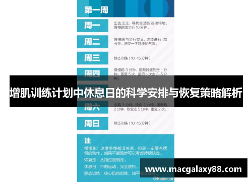增肌训练计划中休息日的科学安排与恢复策略解析