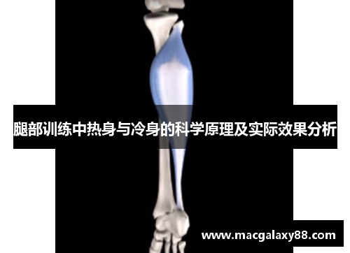 腿部训练中热身与冷身的科学原理及实际效果分析